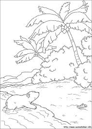 Der Kleine Eisbar Malvorlagen Polar Bear Coloring Page Bear Coloring Pages The Little Polar Bear