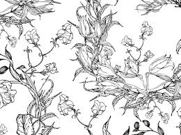 Coloring for.com kid pages 3 year olds relaxation faber castell free balloons of christmas jasmine superhero bible. Colouring Pages Floral Motifs
