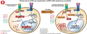 Ruxolitinib Partially Reverses Functional Natural Killer Cell Deficiency In Patients With Signal Transducer And Activator Of Transcription 1 Stat1 Gain Of Function Mutations Journal Of Allergy And Clinical Immunology