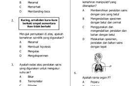 Asid dan alkali unit 11 : Rahima Umar Amerul1016 Profile Pinterest