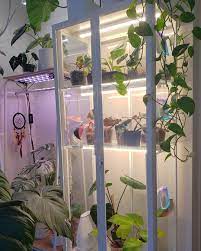 This diy mini box greenhouse is made from old storm windows. Recently Finished Building My Ikea Greenhouse Cabinet And I M Super Happy With How It Looks Link In The Comment For Documentation Indoorgarden