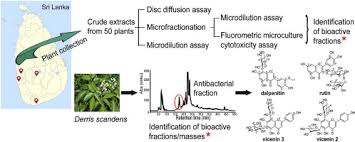 Overview of animal and plant cells. Screening For Bioactive Secondary Metabolites In Sri Lankan Medicinal Plants By Microfractionation And Targeted Isolation Of Antimicrobial Flavonoids From Derris Scandens Sciencedirect