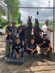 Kaʻū Life: The Way We Were Last Year...