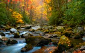 Free download autumn country scenery background original wallpaper  1920x1200 [1920x1200] for your Desktop, Mobile & Tablet | Explore 44+ Free  Wallpaper Country Scenes | Summer Country Scenes Wallpaper,