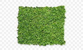 Fence Garden Green Wall Lawn Hedge Png 500x500px Fence Box Carpet Garden Gardening Download Free Green bush, hedge garden shrub pruning, hedges free, miscellaneous, 3d computer graphics, grass png. fence garden green wall lawn hedge png