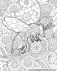 Flower coloring pages | â» animal â» print out pictures. Week 2 Free Coloring Page Friendly Bee Bee Coloring Pages Free Coloring Pages Coloring Books