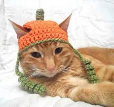 Crochet Cat Hat Halloween Pumpkin Hat For Cats Cat Halloween Costume Novelty Hats For Cats Crochet Cat Hat Crochet Pet Costumes Crochet Cat Clothes
