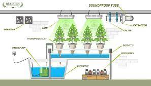 Maybe you would like to learn more about one of these? How To Assemble Hydroponic System For Weed Complete Guide Step By Step