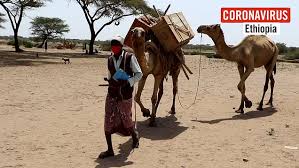 Man, what you got me eating? Camel Libraries Are Bringing Books To Children In Ethiopia Metro News