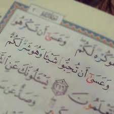 و ع س ى أ ن ت ك ر ه وا ش ي ئ ا و ه و خ ي ر ل ك م و ع س ى أ ن ت ح ب وا ش ي ئ ا و ه و ش ر ل ك م و الل ه ي ع ل م و أ ن Quran Book Quran Quotes Quran