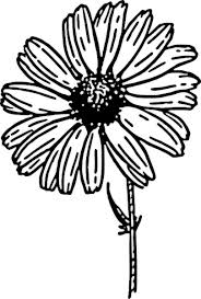 Free Daisy Clipart Public Domain Flower Clip Art Images And Clipart Best Clip Art Daisy Drawing Free Clip Art