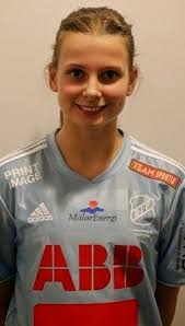 Gideonsbergsbloggen: november 2013