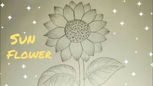 Check spelling or type a new query. How To Draw A Sunflower Easy Step By Step Youtube