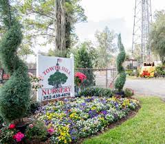 Get 1 free product today 6000+ gardening products all india delivery. Tower Hill Nursery And Mims Landscaping Ocala Style Magazine