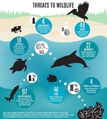 Poster kendalikan sampah plastik : 13 Ide Poster Sampah Plastik Lingkungan Hidup Infografis Poster