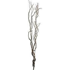 Find great deals on ebay for curly willow branches. Cb2 Curly Willow Branches Willow Branches Curly Willow Artificial Leaf