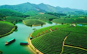 Thanh hóa, nghệ an, hà tĩnh, quảng bình, quảng trị và thừa thiên huế. Biá»ƒn Sá»' Xe 37 La Cá»§a Tá»‰nh Nao