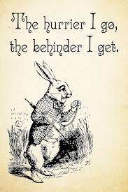 Alice In Wonderland Quotes Google Search Alice And Wonderland Quotes Wonderland Quotes Disney Quotes