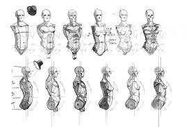 Woo, here's the ones for the anterior and posterior torso! Building Block Life Drawing References Figure Drawing Life Drawing Life Drawing Reference