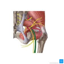 Yoga stretches for sciatica strengthen the muscles that support the spine and reduce the chances you must perform shava asana after each session of yoga stretches for sciatica. Can Yoga Cause Sciatica 3 Important Mistakes To Avoid Custom Pilates And Yoga