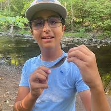 ᐅ Roaring Brook fishing reports🎣• Glastonbury, CT (United States) fishing