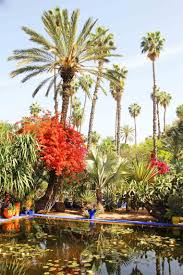Majorelle Garden Jardin Majorelle C Jurgen Reichenpfader Jardin Majorelle Beaux Jardins Jardins