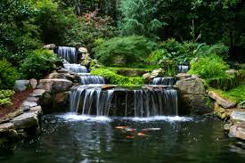 Kahn Residence Artistic Landscapes Ponds Backyard Pond Landscaping Aquatic Garden