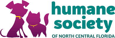 It's great to have a pet, but how do you raise it to it's full potential? Pets For Adoption At Humane Society Of North Central Florida In Gainesville Fl Petfinder