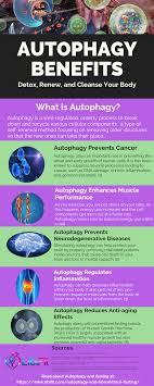 Detox And Renew Your Body With Autophagy And Intermittent Fasting Libifit What Is Autophagy Intermittent Fasting Detox