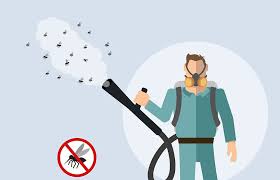 ابادة الحشرات المنزلية الطائرة اكتشف أفضل طرق مكافحة حشرات الناموس في المنزل بالأعشاب نهائيا In 2021 Disney Characters Character Household Pests