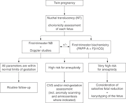 prenatal diagnosis after assisted reproductive technology