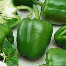 Peppers From Seed To Harvest Urban Farmer Seeds In 2020 Stuffed Peppers Pepper Seeds Stuffed Sweet Peppers