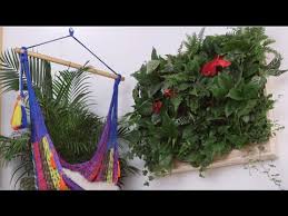 They can double as wall art if you're wondering how to make a hanging plant holder yourself, we've got you covered. How To Make A Diy Indoor Living Plant Wall Eye On Design Youtube
