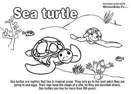 Ver más ideas sobre reglas de seguridad, autocuidado niños, reglas de seguridad para niños. Sea Animals Coloring Pages Pinterest