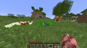 Whether it's to pass that big test, qualify for that big prom. Bee Farm Design Bees Come Out Work With Flowers Then Pollinate Your Crops While Getting Back To The Hive R Minecraft
