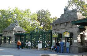 Berlin Zoo Orchifant Botanische Und Zoologische Garten