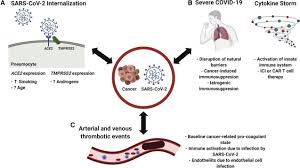 Sarah goldberg november 8, 2020 yale cancer center visit: Covid 19 And Cancer Current Challenges And Perspectives Sciencedirect