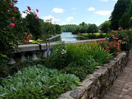 We did not find results for: The Lake Lure Flowering Bridge