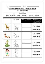 A worksheet on vertebrates and invertebrates, a quiz on distinguishing vertebrates and invertebrates and a lesson which students can read vertebrates are animals that have a backbone while invertebrates are animals that don't. Vertebrate Or Invertebrate Worksheet Teachers Pay Teachers