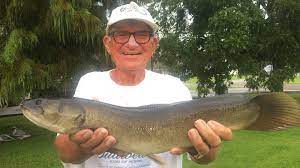 The fishing skill is increased by fishing the fishes in river, pond or lake with a fishing rod. Species Spotlight Choupique Louisiana Sportsman