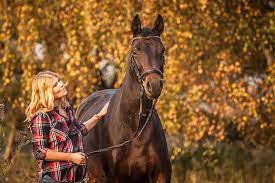 Ist es ein pferd mit einer vergangenheit, dann ist es natürlich erst einmal nicht so sicher, weil es viel erlebt hat. Fenjart Portraitfotografie Tierfotografie Hundefotografie Pferdefotografie In Frankfurt Darmstadt Griesheim Seligenstadt Und Aschaffenburg