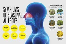 How To Combat Seasonal Allergies In Southern Nevada | Sunrise Hospital