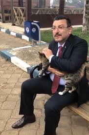 Ortahisar Belediyesi Sokak Hayvanlarina Sahip Cikiyor