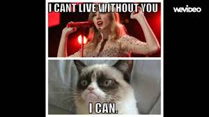 All the images collection is unique and special. Grumpy Cat Memes Youtube