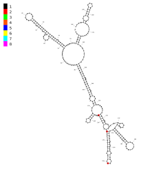 Savor Sequencing Annotation And Visualization Of Rna Structures