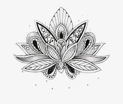 All images found here are believed to be in the public domain. Mandalas Mandala Dibujo Tattoo Tato Lotus Mandala Coloring Pages Png Image Transparent Png Free Download On Seekpng