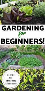 Gardening For Beginners 11 Tips For A Successful Start Gardening For Beginners Vegetable Garden For Beginners Garden Planning