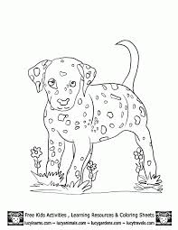 Use these images to quickly print coloring pages. Realistic Printable Puppy Coloring Pages Novocom Top