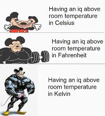 Both the celsius to fahrenheit and fahrenheit to celsius equations are linear (no quadratic terms) implying they are straight lines. Yours Must Be In Kelvin Dankmemes