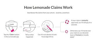 Lemonade homeowners insurance boasts of making the fastest claims in the market, sometimes in as little as three seconds, and also offers some of the lowest rates for homeowners. Lemonade Insurance Review 2020 Great Homeowner Renters Insurance
